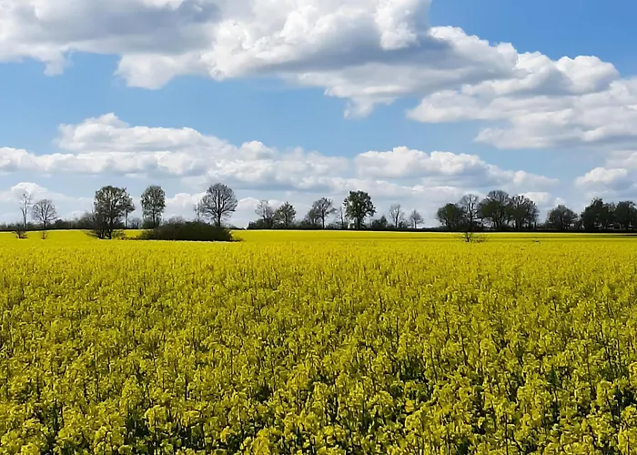 بيت للعطل Kuestenliebe-fehmarn فيهمارن